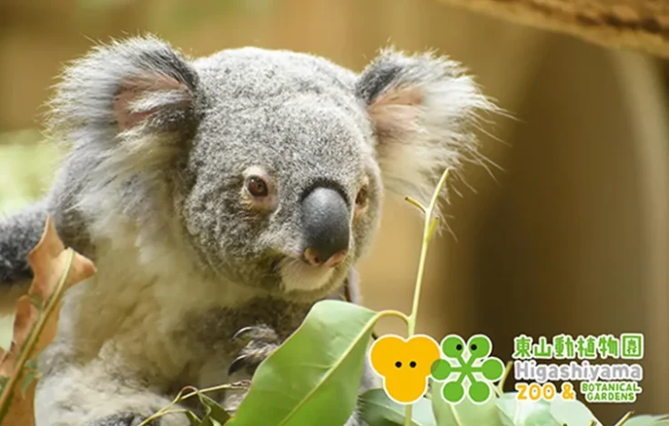 画像：東山動植物園