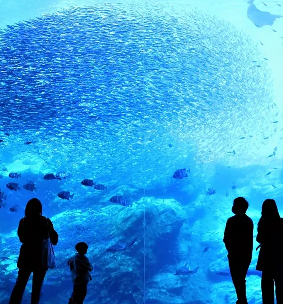 画像：うみの杜水族館