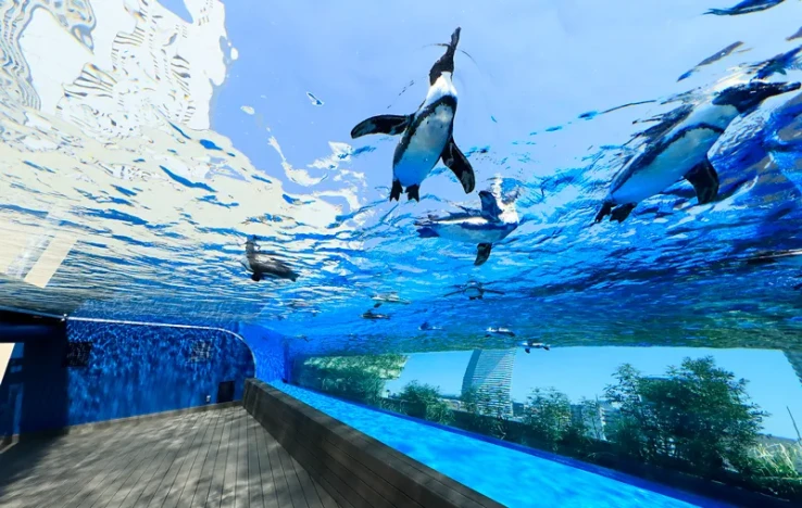 画像：サンシャイン水族館