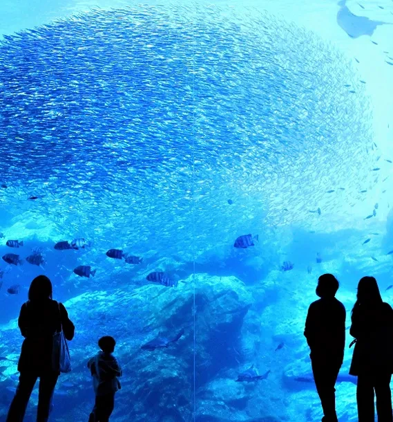 写真：仙台うみの杜水族館