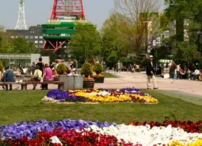 画像：大通公園