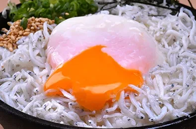 写真：しらす丼