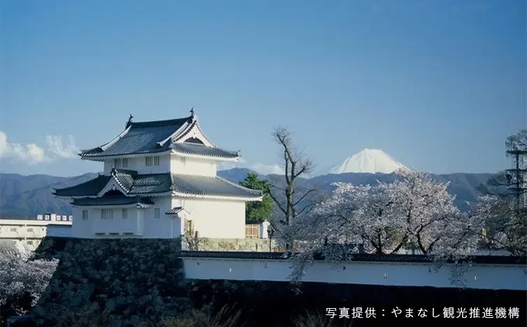 画像：舞鶴城公園