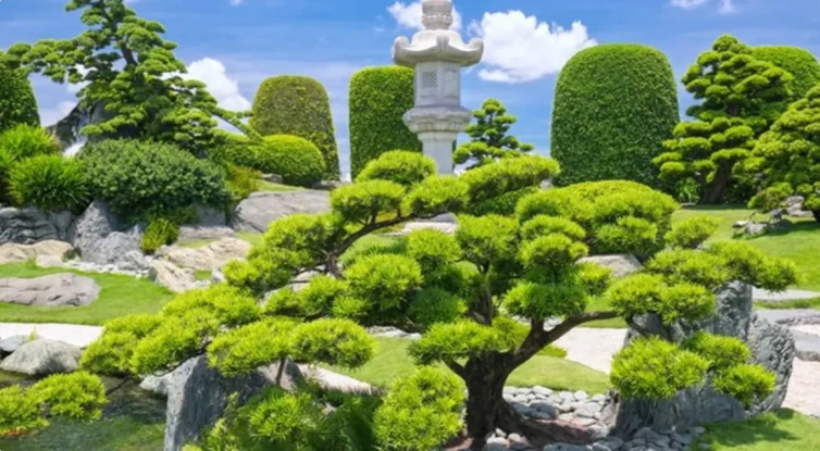 写真：足立美術館