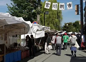 画像：宮川朝市