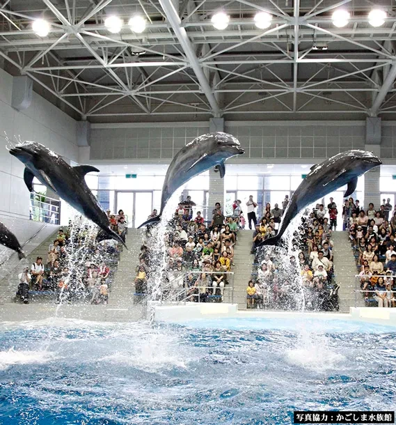 画像：かごしま水族館
