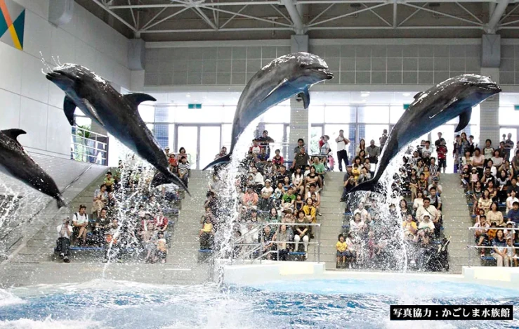 画像：いおワールドかごしま水族館